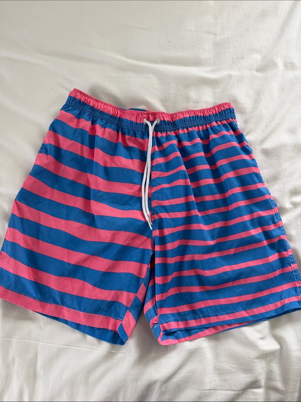 Boardies Blue and Pink Striped Swim Trunks Shorts Men’s Large